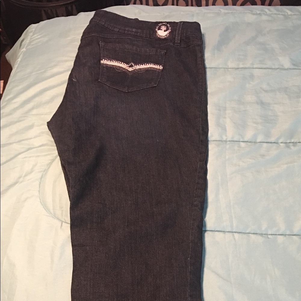 Torrid Source of Wisdom plus size jeans